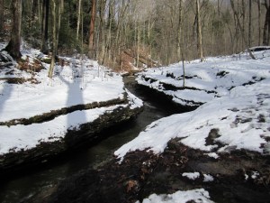 mcconnells mill March 2011 006