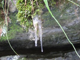 mcconnells mill March 2011 019