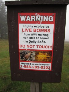 vacation shots 2011 035